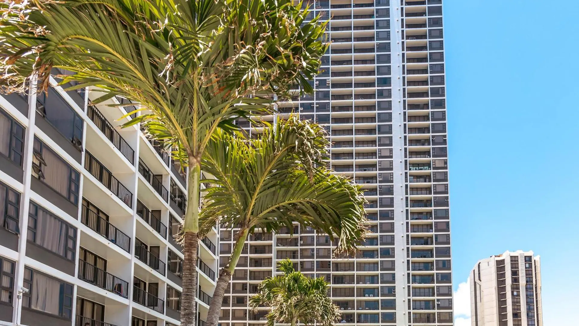 Lejlighed Escape To Mountain View Condo,Near Beach With Parking Honolulu USA