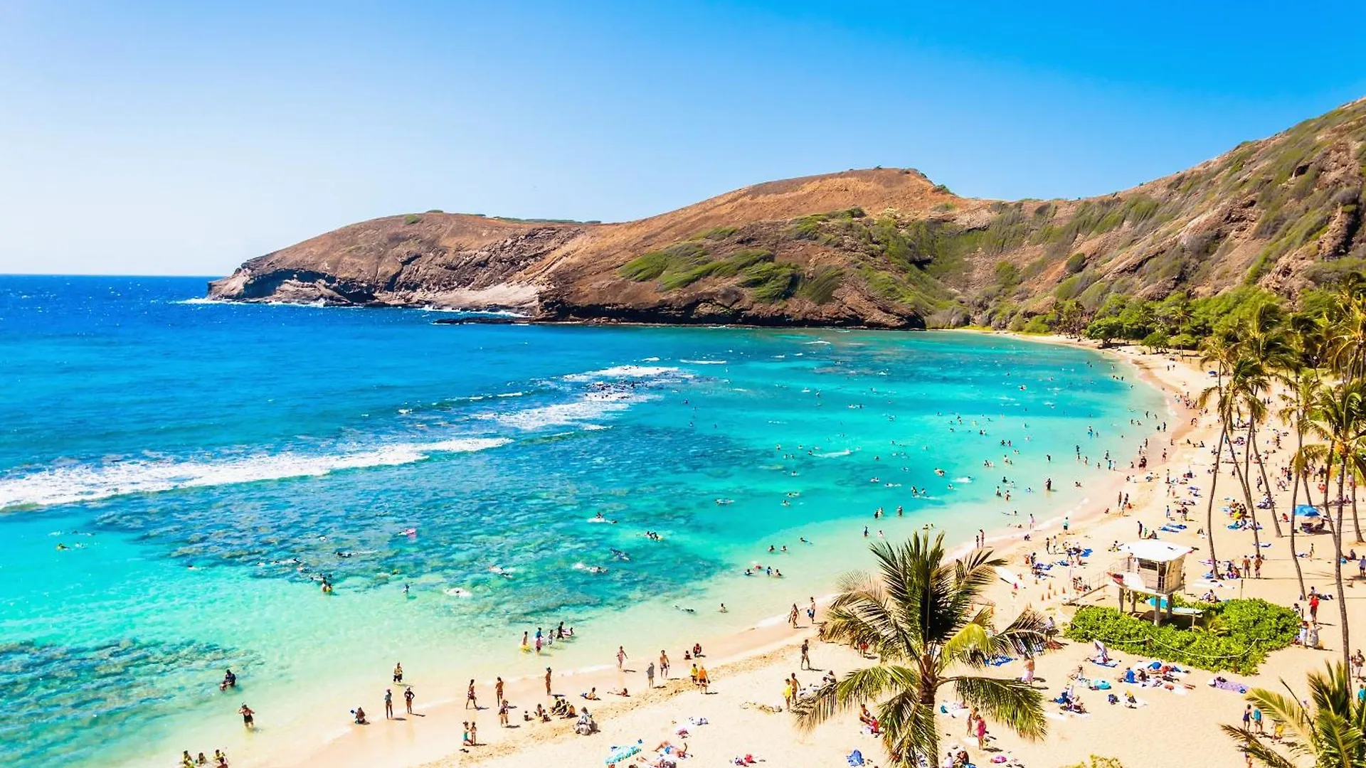 Escape To Mountain View Condo,Near Beach With Parking Honolulu 0*,