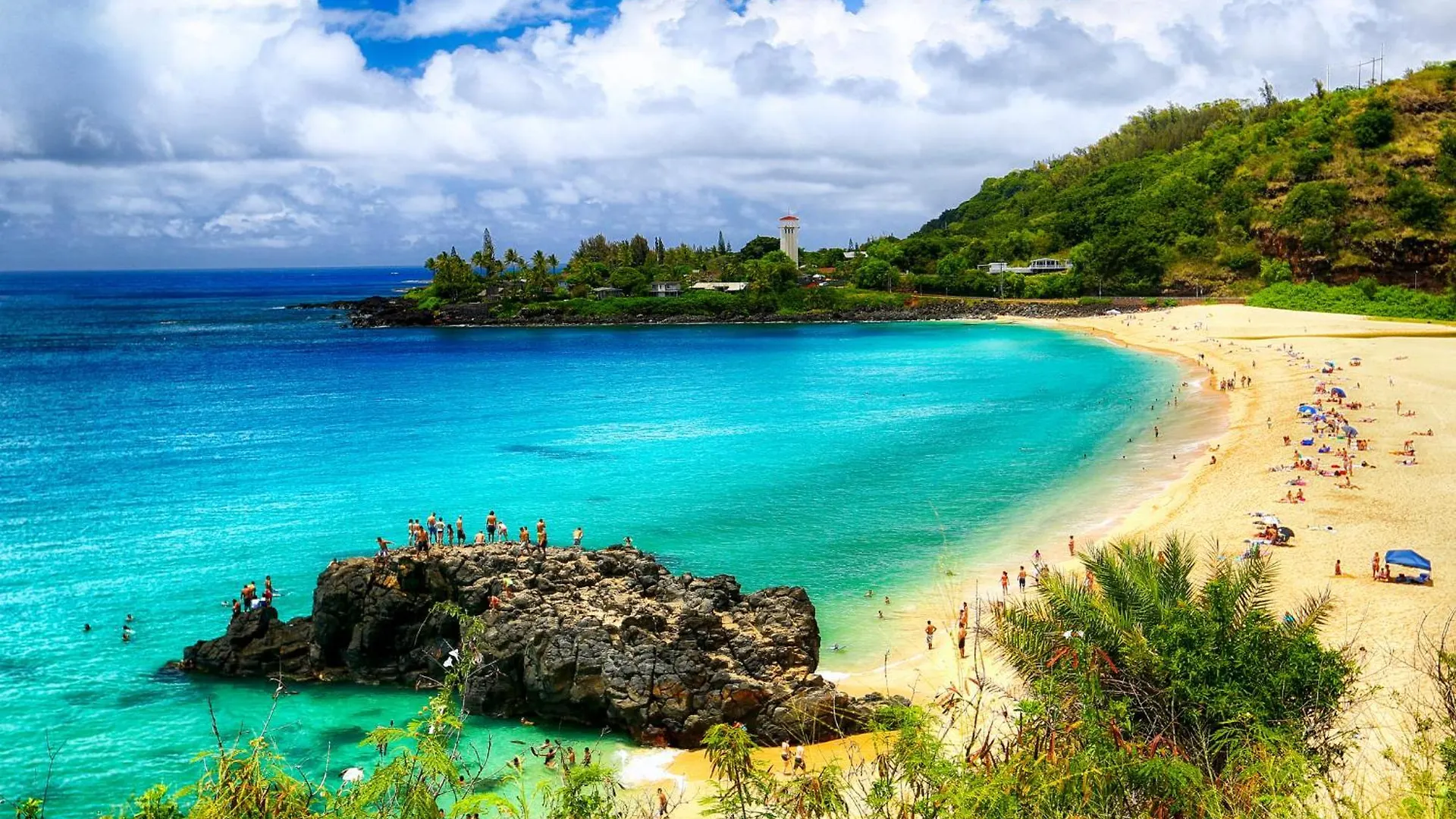 Escape To Mountain View Condo,Near Beach With Parking Honolulu