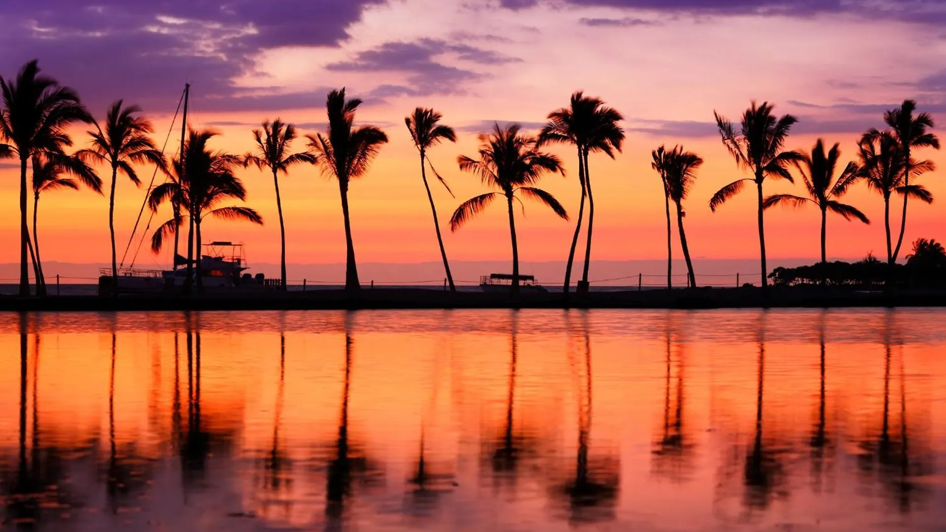 Escape To Mountain View Condo,Near Beach With Parking Honolulu Lejlighed