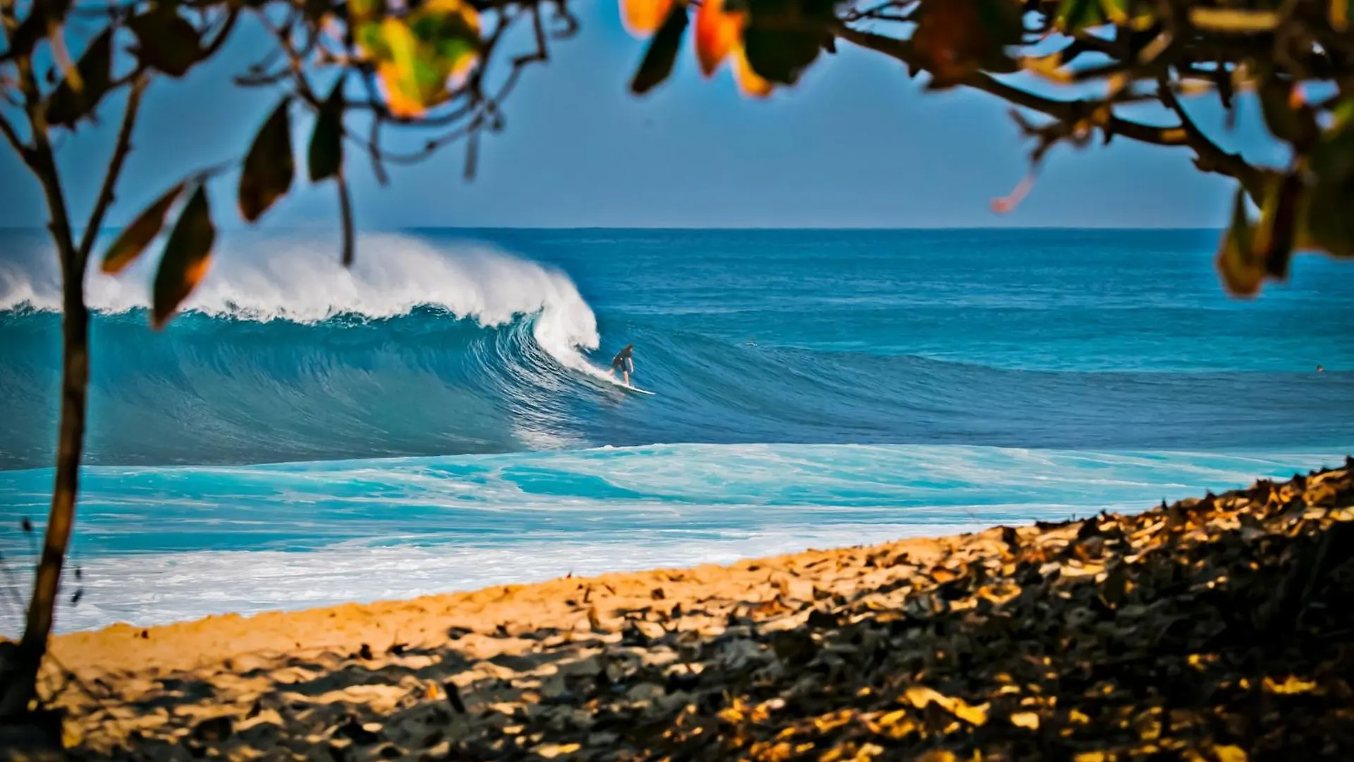 Escape To Mountain View Condo,Near Beach With Parking Honolulu
